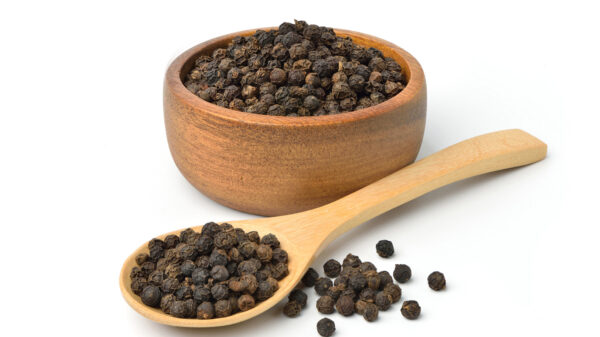 Pepper